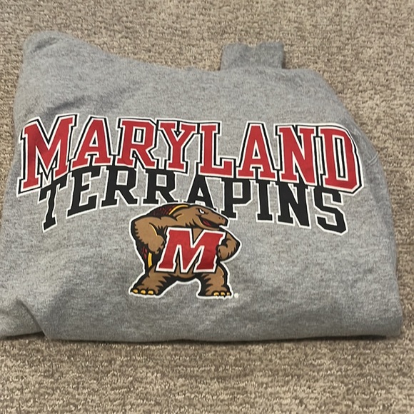 UMD UNIVERSITY OF MARYLAND TERRAPINS GREY CHAMPION HOODIE SWEATSHIRT MEDIUM - Picture 4 of 4